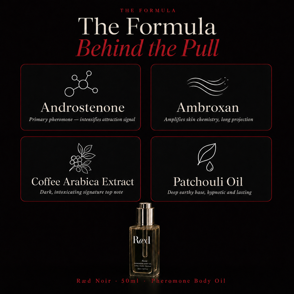 Ræd Noir — The formula behind the pull
